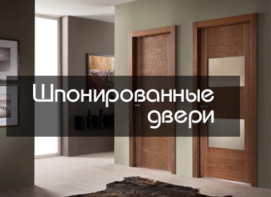 Шпонированные двери