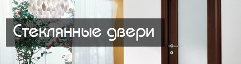 Стеклянные двери триплекс